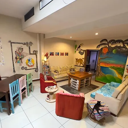 Stray Cat Hostel-2
